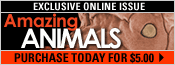 Exclusive Online Issue: Amazing Animals